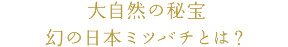 大自然の秘宝幻の日本ミツバチとは？